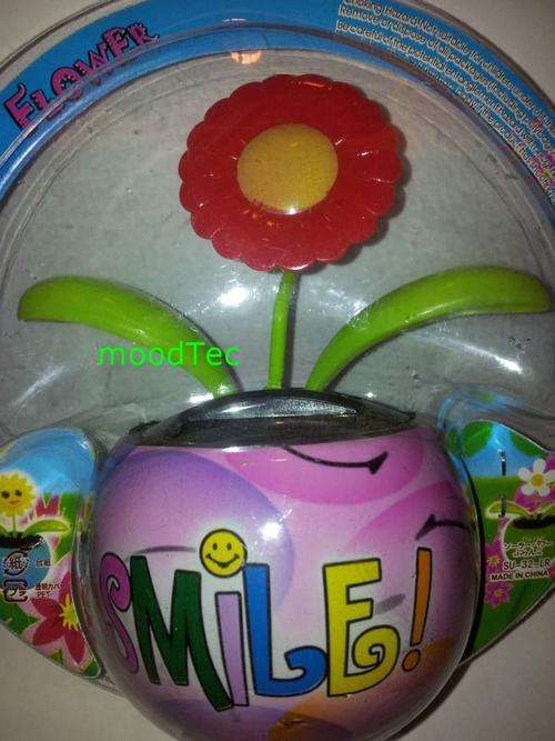 Solar Powered Flower Pot (In Stock)