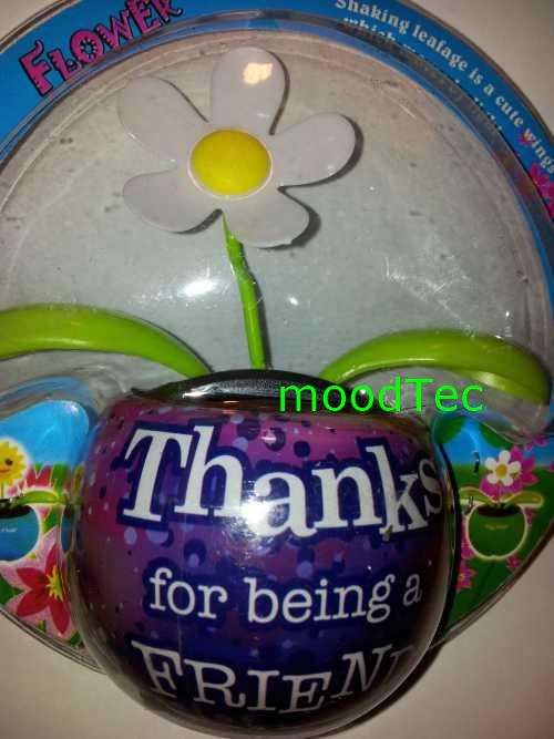 Solar Powered Flower Pot (In Stock)