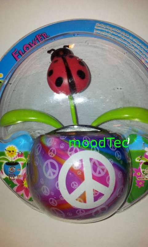 Solar Powered Flower Pot (In Stock)