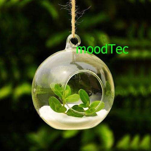12cm Diameter Borosilicate Glass Hanging Vase (In Stock)