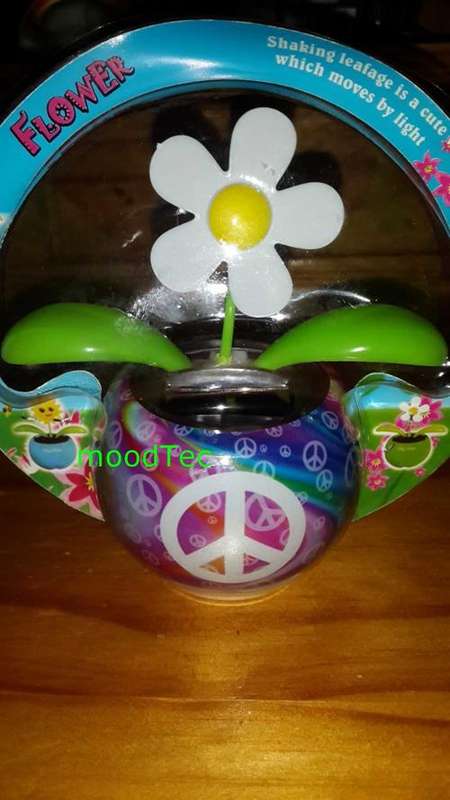 Solar Powered Flower Pot (In Stock)