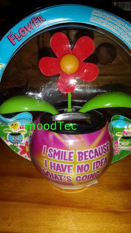 Solar Powered Flower Pot (In Stock)