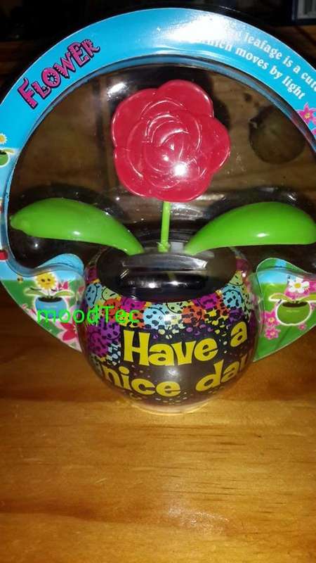Solar Powered Flower Pot (In Stock)