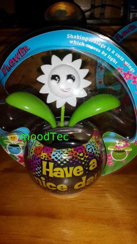Solar Powered Flower Pot (In Stock)