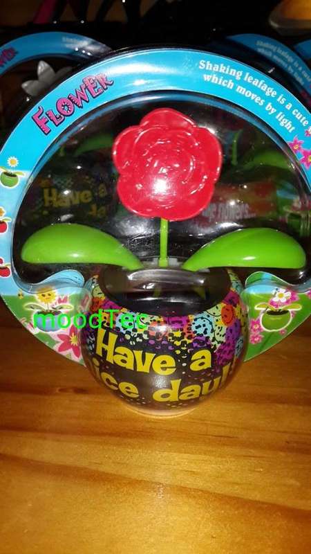 Solar Powered Flower Pot (In Stock)