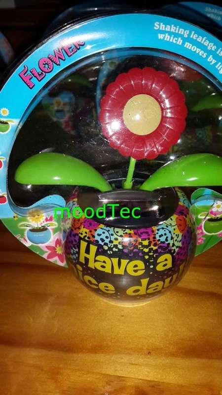 Solar Powered Flower Pot (In Stock)