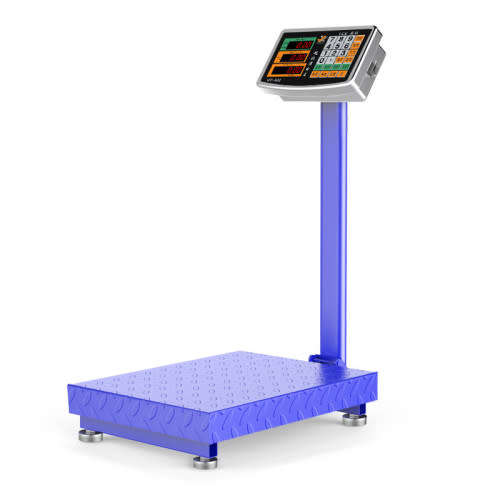 300Kg Capacity Scale Electronic Platform Scale