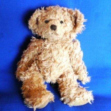 image of bear