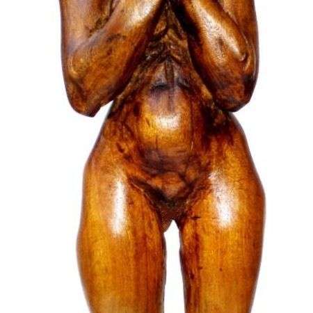 front view of the torso