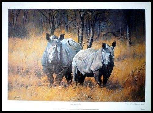White Rhino with Young.