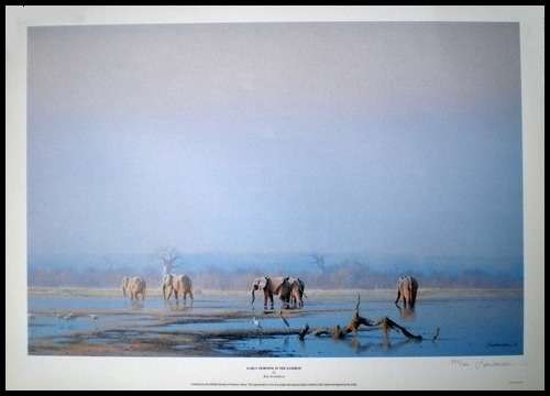 Early Morning in the Zambezi