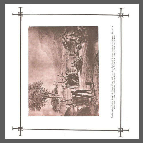 illustrations.