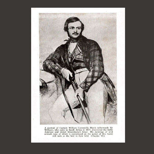 illustrations.