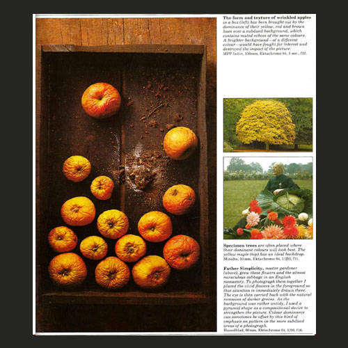 illustrations.