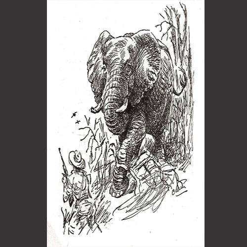 illustrations.
