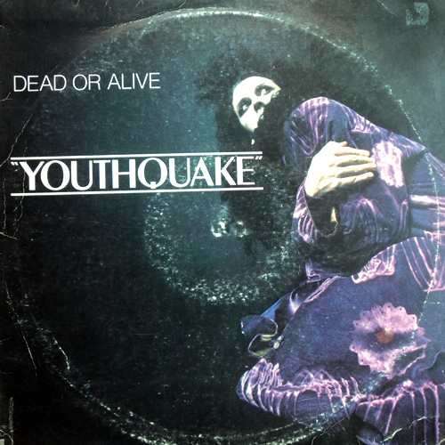 Dead or Alive - YOUTHQUAKE.  Vinyl  LP. (VG+/VG). South African Release (1985).