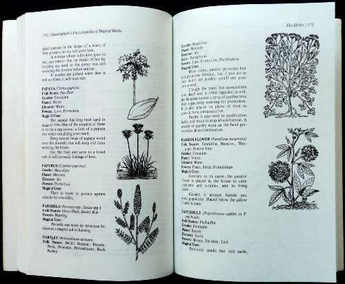 Scott Cunningham - CUNNINGHAM'S ENCYCLOPEDIA OF MAGICAL HERBS. Paperback. 1989. 12 th printing.