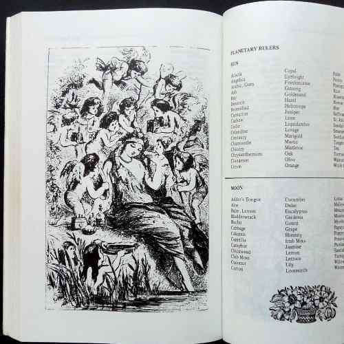 Scott Cunningham - CUNNINGHAM'S ENCYCLOPEDIA OF MAGICAL HERBS. Paperback. 1989. 12 th printing.