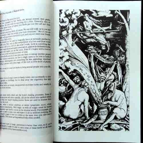 Scott Cunningham - CUNNINGHAM'S ENCYCLOPEDIA OF MAGICAL HERBS. Paperback. 1989. 12 th printing.
