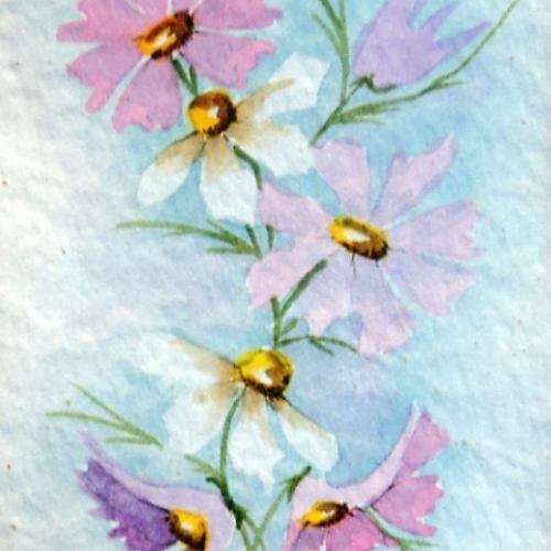 Hettie Swart & R High (SA Artists) - TWO WATER COLOUR PAINTINGS OF COSMOS FLOWERS. Framed. One lot.