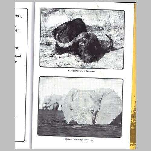 Fred Bartlett - SHOOT STRAIGHT AND STAY ALIVE. A LIFETIME OF HUNTING EXPERIENCES. Hardback / Wrapper