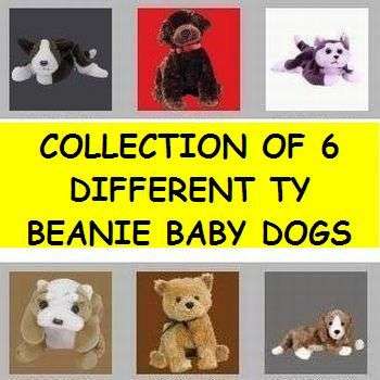 COLLECTION OF 6 TY BEANIE BABY DOGS. (Mystery gift to the buyer)