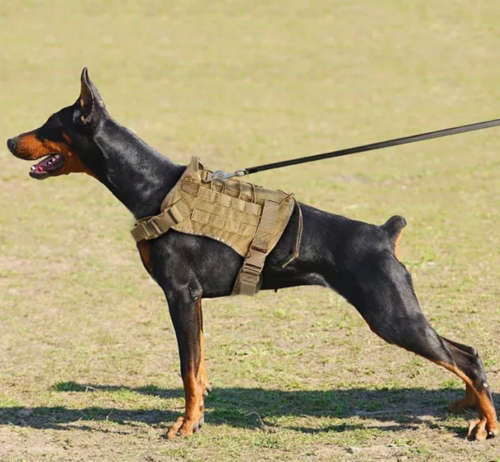 Dog Tactical Harness Vest - L