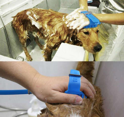 Bathing Shower Tool & Hair Washer for Cats & Dogs