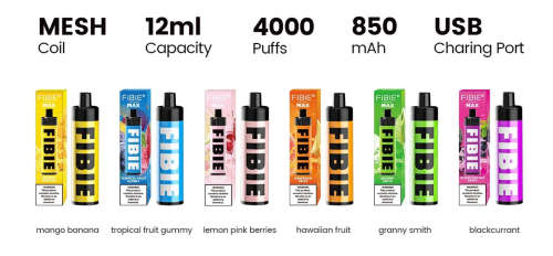 Fibie 50mg Nicotine Max 4000 Puffs Elf Bars Disposable Vape Hawaiian Fruit Flavour