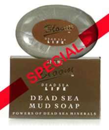 Dead Sea Mud Soap 90g