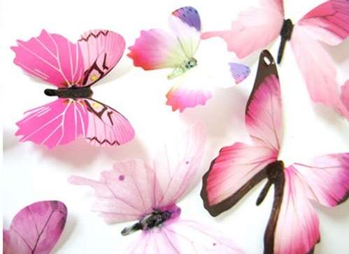 12x 3d pvc Butterfly Decoration