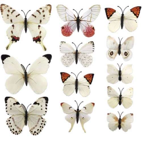 6x PVC 3d Butterfly wall stickers
