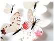 6x PVC 3d Butterfly wall stickers