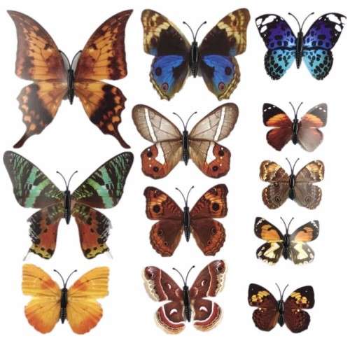 6x PVC 3d Butterfly wall stickers