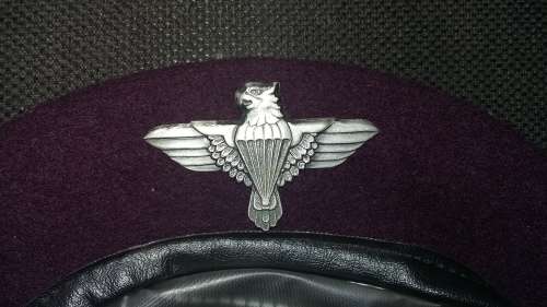 44 Parachute Brigade beret and badge