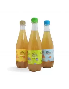 Moringa Guarana Kombucha Drink (500ml)