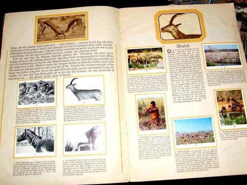 Two Albums and One Packet of South African `Cigarette` Cards