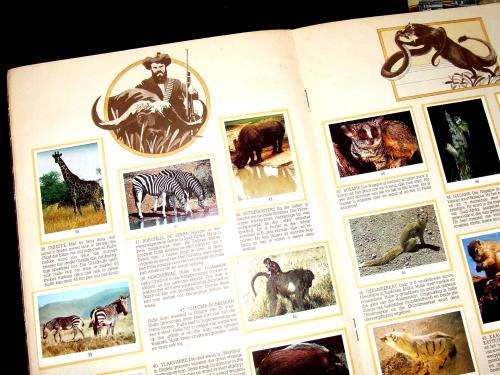 Two Albums and One Packet of South African `Cigarette` Cards