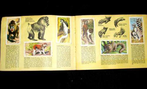 Two Albums and One Packet of South African `Cigarette` Cards