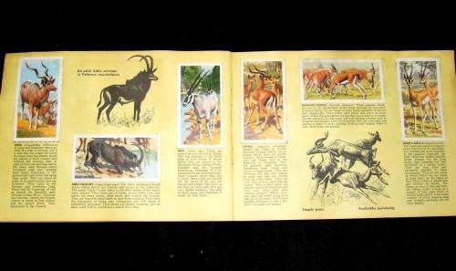 Two Albums and One Packet of South African `Cigarette` Cards
