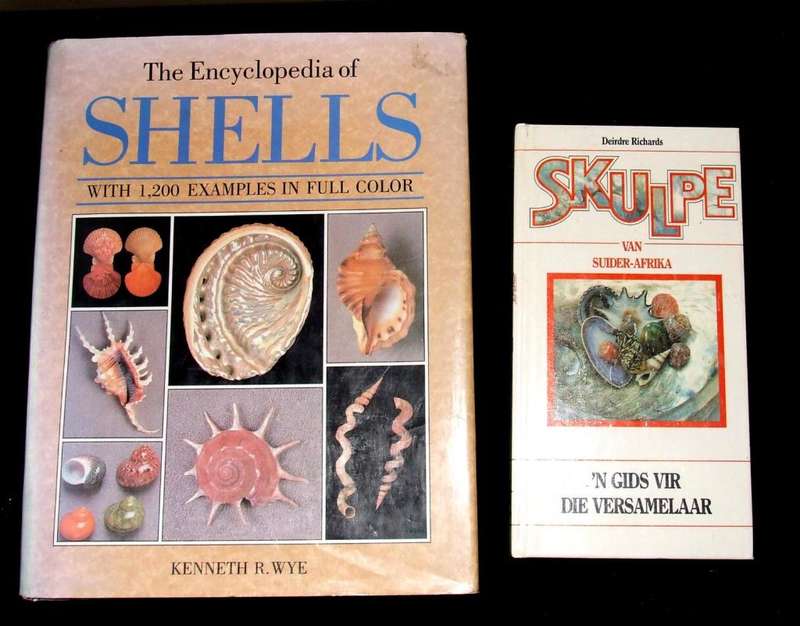 Two Books on Sea Shells