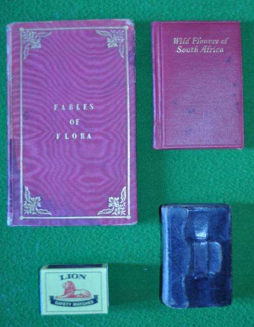 3 miniture books