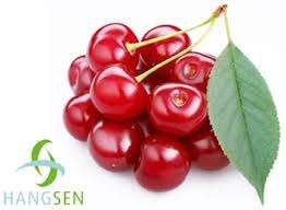 10ml E-Liquid "CHERRY" (Genuine Hangsen) *No additional item fee*
