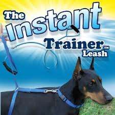 Instant Trainer Leash