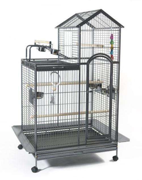 Parrot Cage