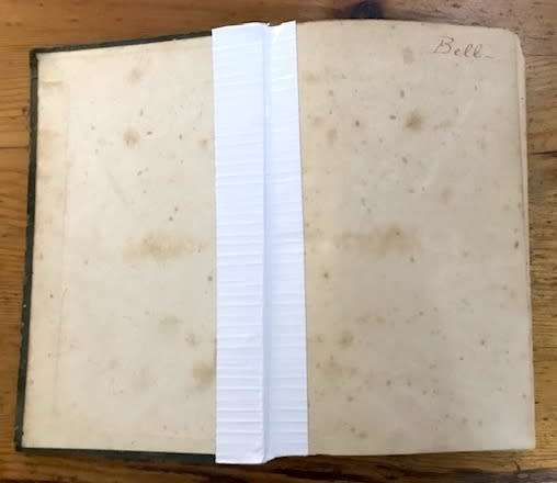 Memoir Regarding the Kaffers, Hottentots, and Bosjemans of South Africa. Vol 1. 1845