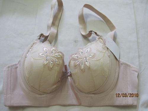Triumph  -   Beige color with embroidery and iron on diamonte size 32C  -ON SALE