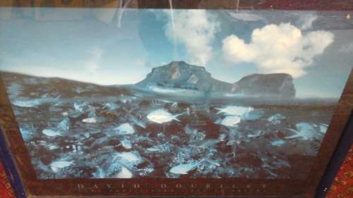 AN ALMOST ROYAL BLUE FRAMED PICTURE. DAVID DOUBILET. LORD HOWE ISLAND . SEA OF DREAMS PRINT