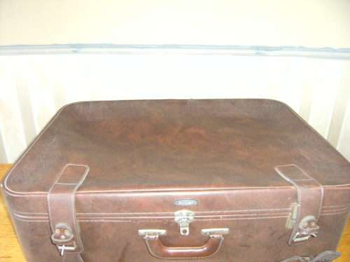 TOTALLY INCREDIBLE VINTAGE ANTLER LUGGAGE BAG. PEHNOMENAL PIECE!