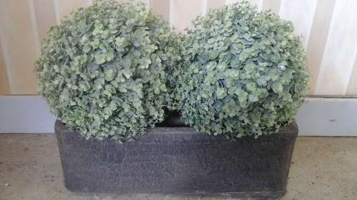 MAGNIFICENT A DARK COLOURED POSSIBLY CONCRETE OR CLAY FLOWER POT. PERFECT EVEN FOR A BALCONY